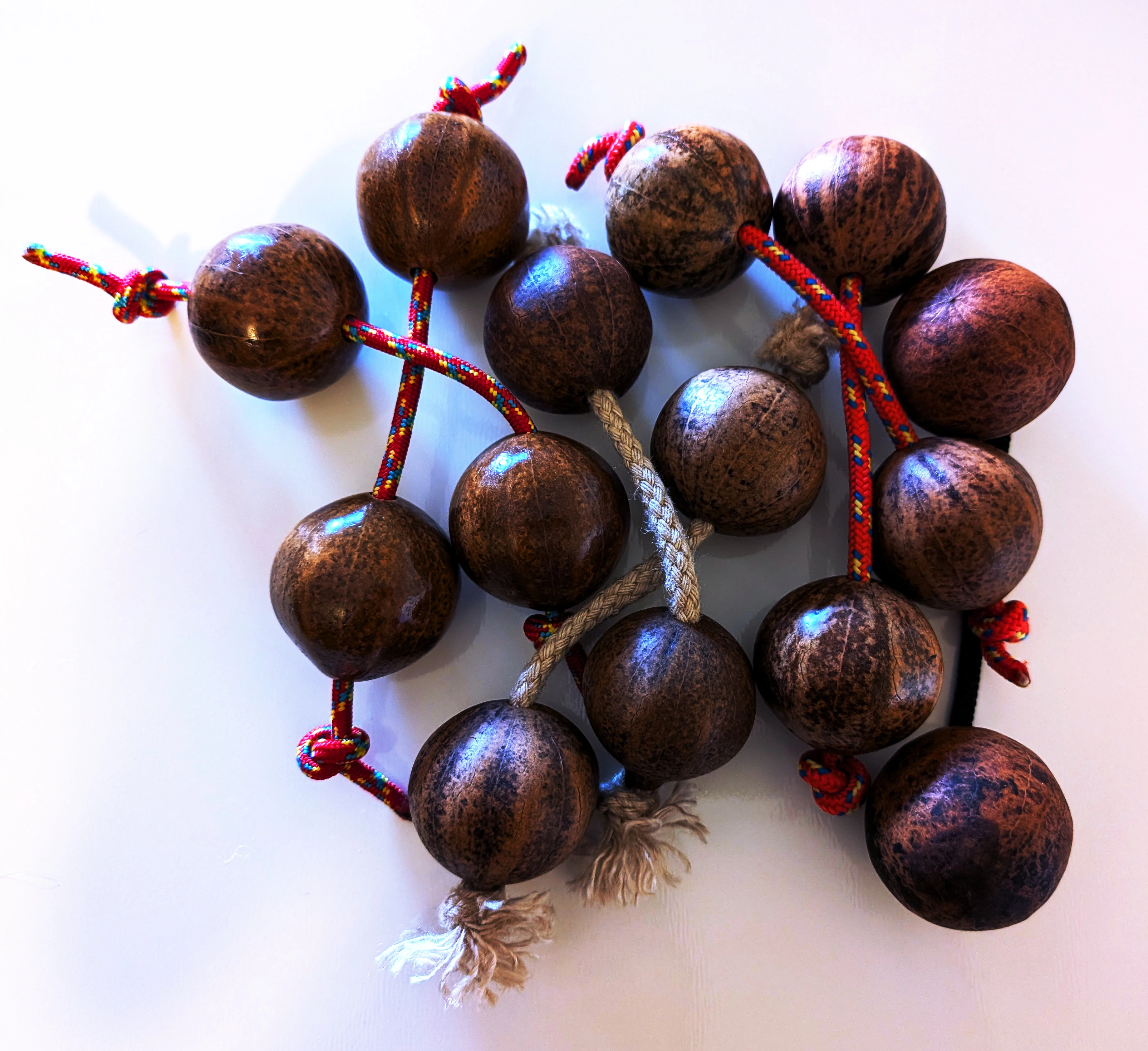 photo of gourd asalato